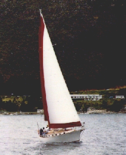 Shearwater 39 Classic cruiser