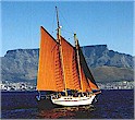 Hout Bay 50 "Cape Rose" on Table Bay