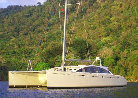 dh 550 plywood cruising catamaran